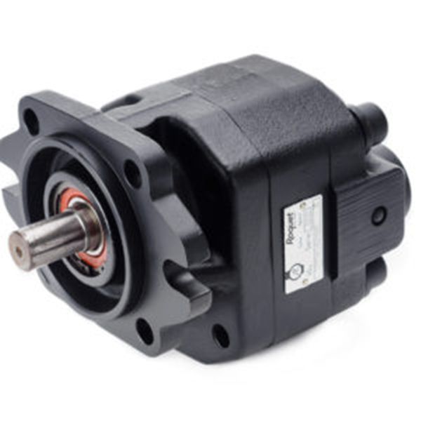 Roquet齒輪泵廠家，Roquet電機和齒輪泵，型號齊全