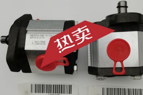 意大利Marzocchi齒輪泵GHP1A-D-7-FG，馬祖奇雙聯齒輪泵ALP2BK1-D-12-FG-V