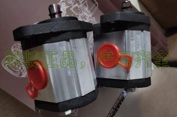 意大利馬祖奇齒輪泵GHP2A-D-40,GHP2A-D-40-FG的性能區別