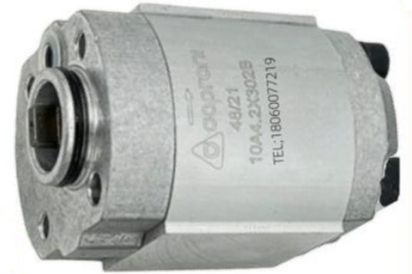 Caproni齒輪泵30A20/22.2/25/28/32/36/42X002H液壓泵參數