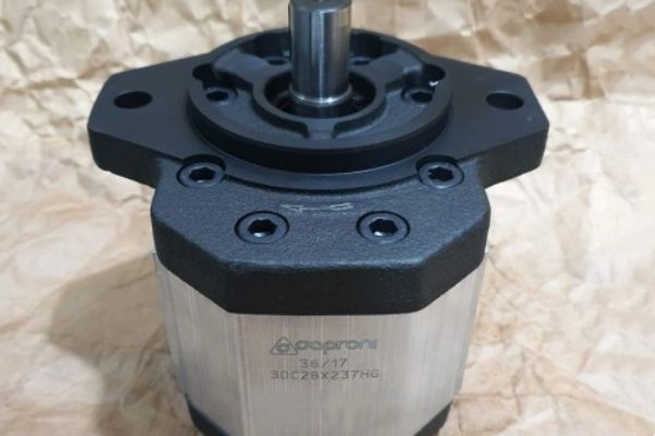 Caproni齒輪泵有哪些常見類型？如何選擇適合的Caproni齒輪泵